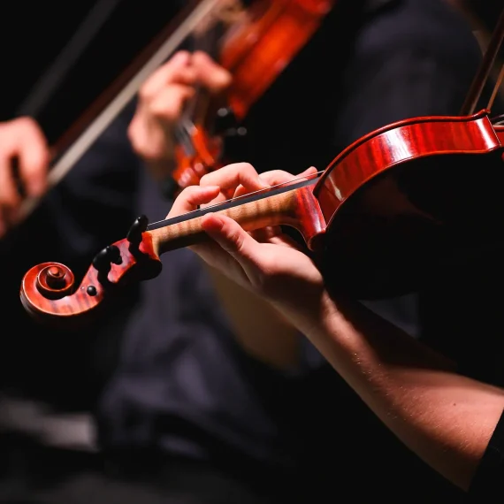 duo violines