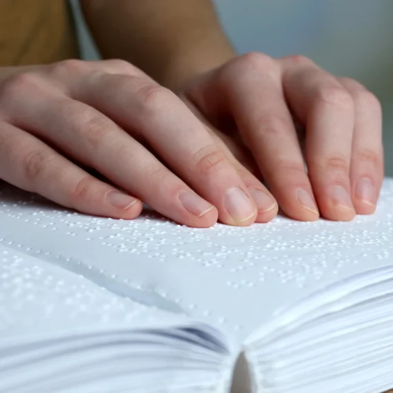 paginas libro