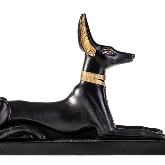 perro egipcio